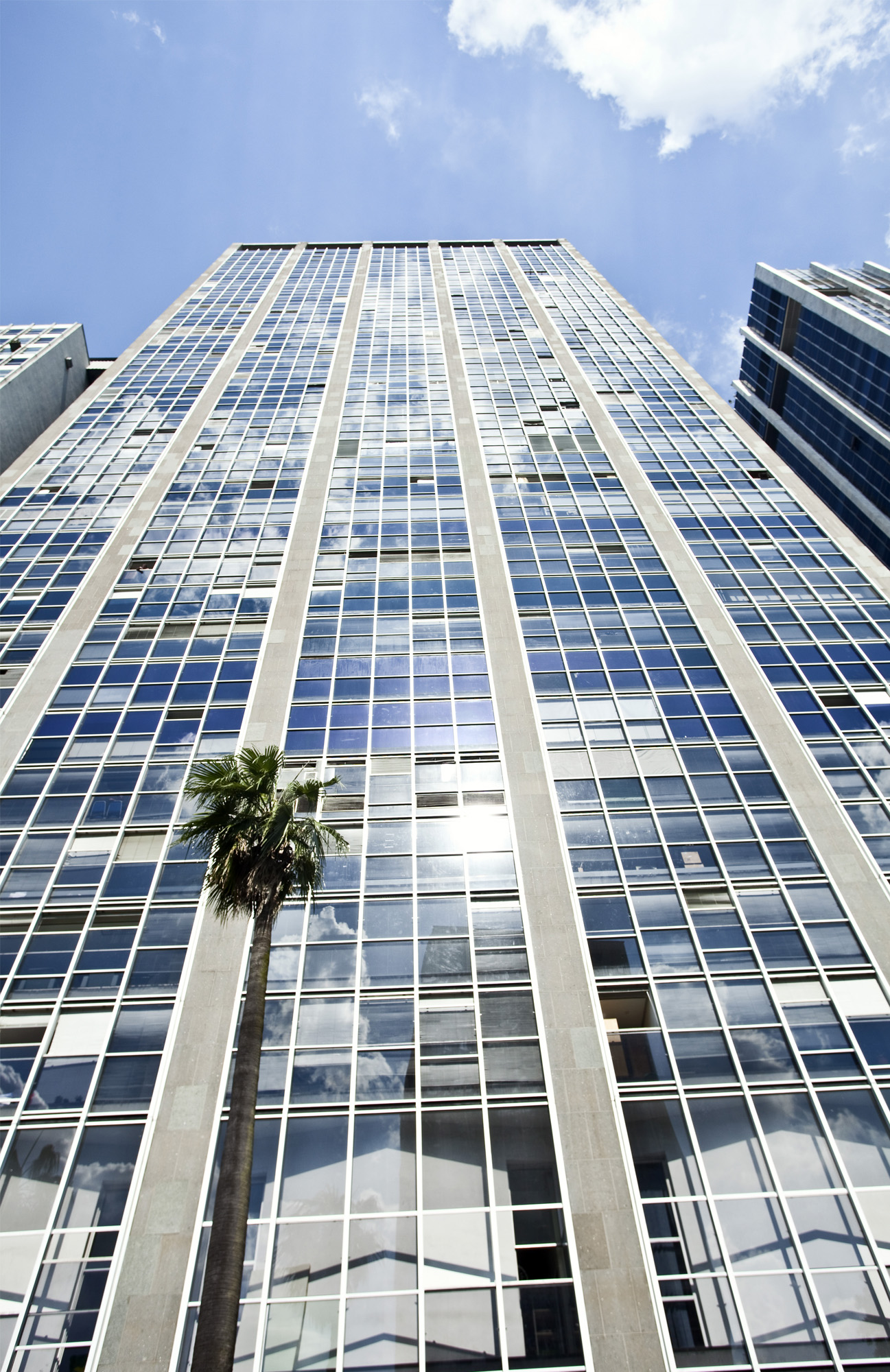 Ed. Grande São Paulo