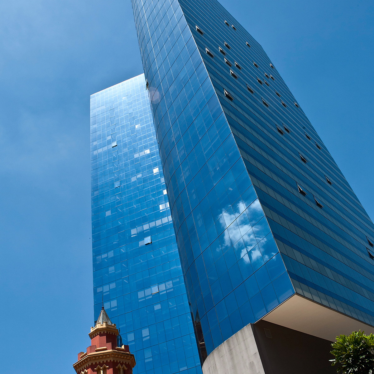 Fundação Carlos Chagas