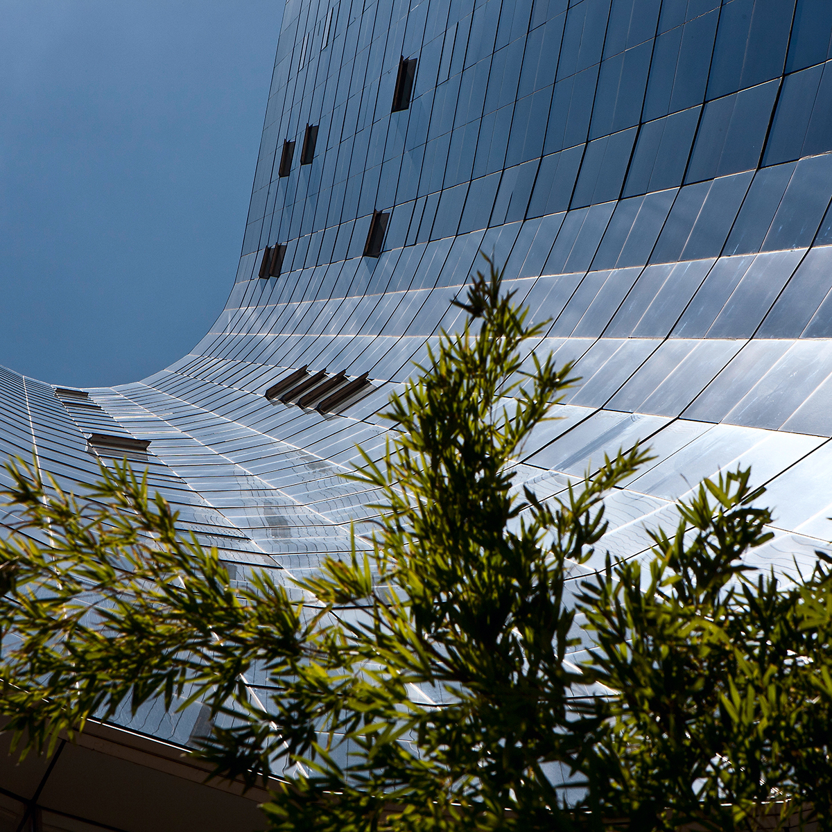 Fundação Carlos Chagas