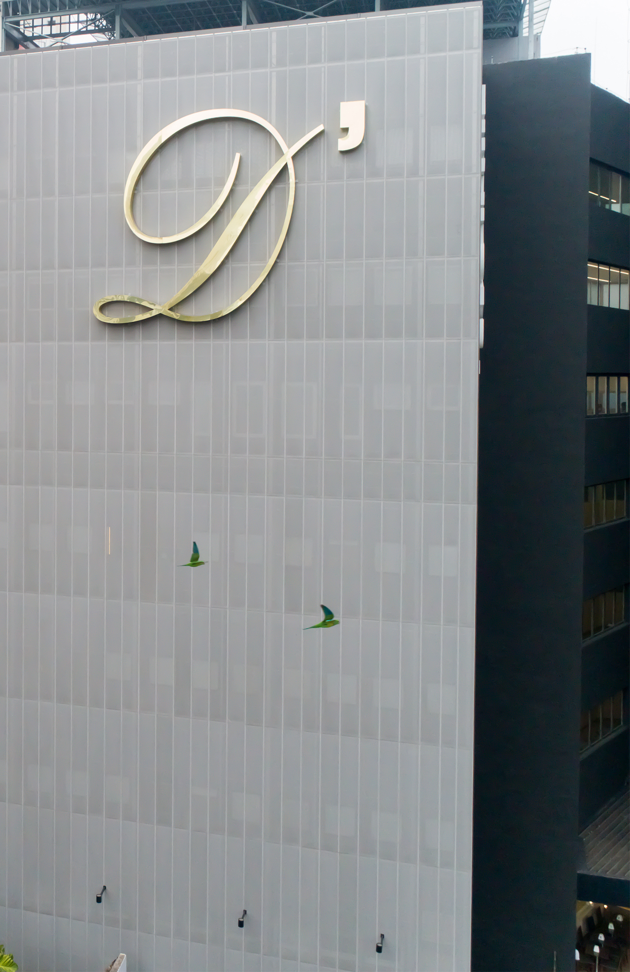 Rede D'or Itaim