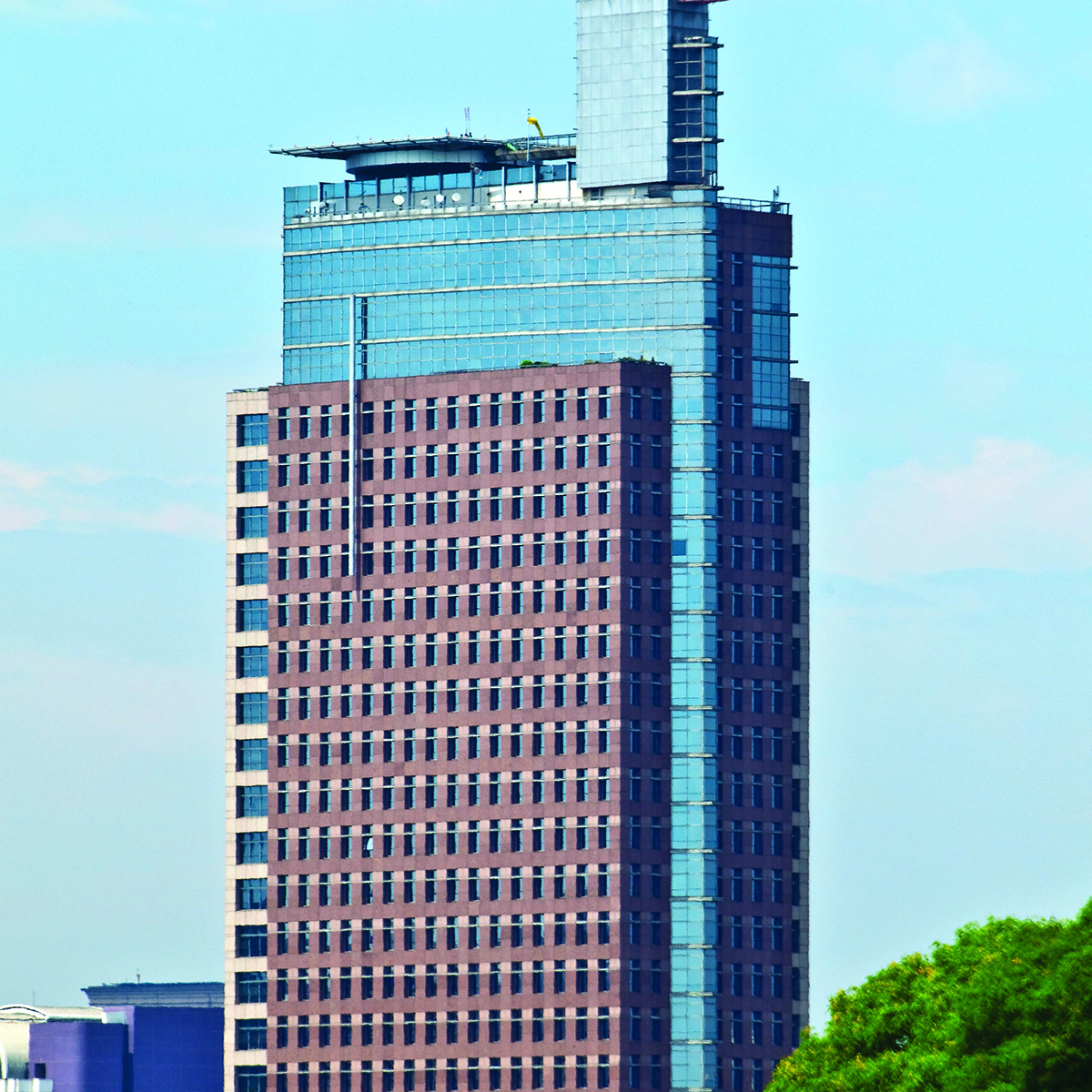 Birmann 21 - Manserv